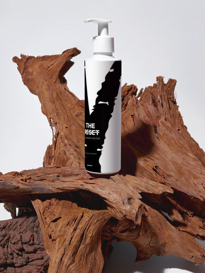 THE RESET | DAILY PURIFYING CLEANSER