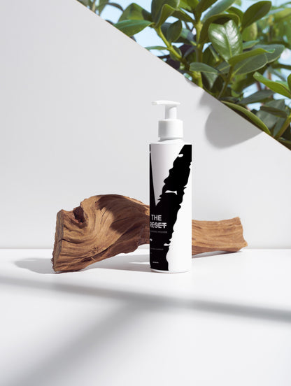THE RESET | DAILY PURIFYING CLEANSER